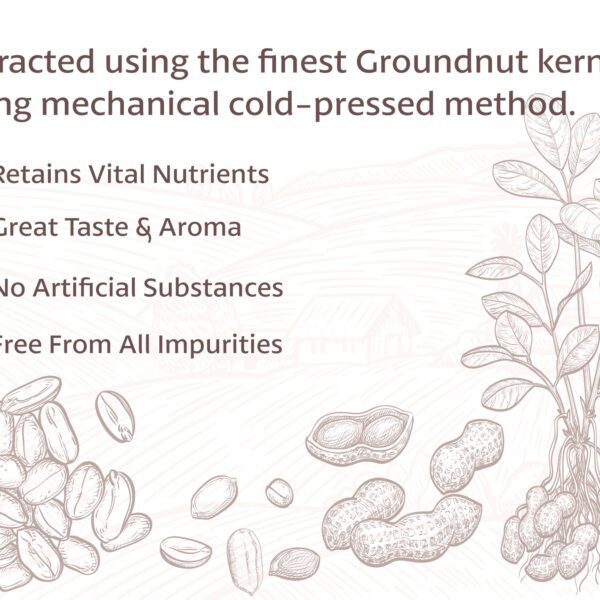 BD Edible Oils Groundnut Oil 1 Liter Bottle Product Image 3