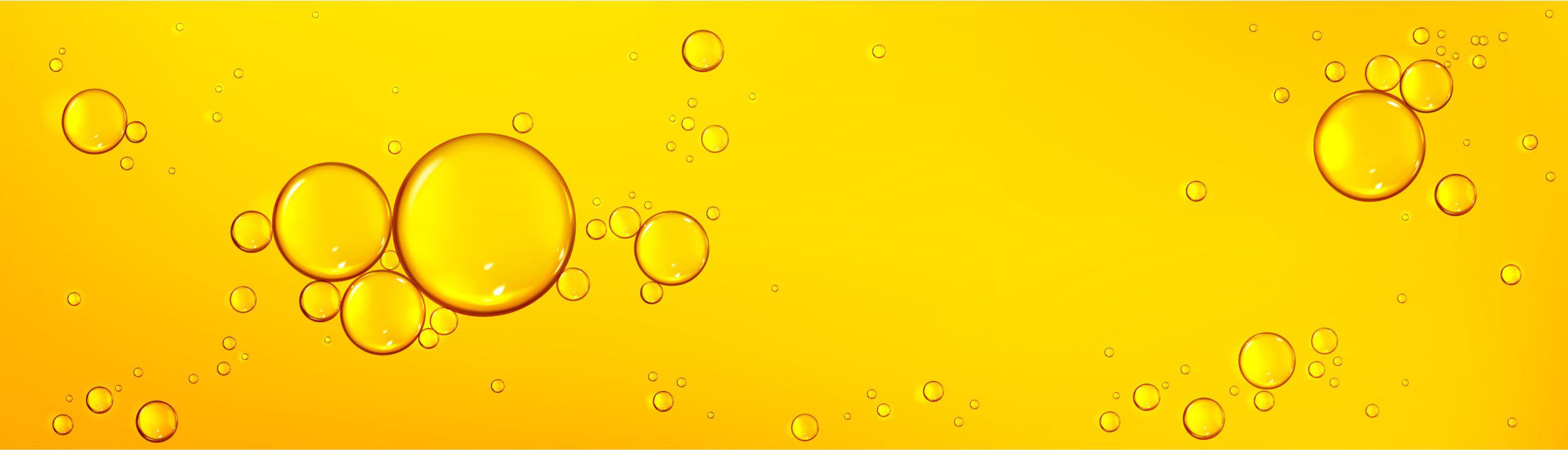 BD Edible Oils Homepage Website Banner Images 18
