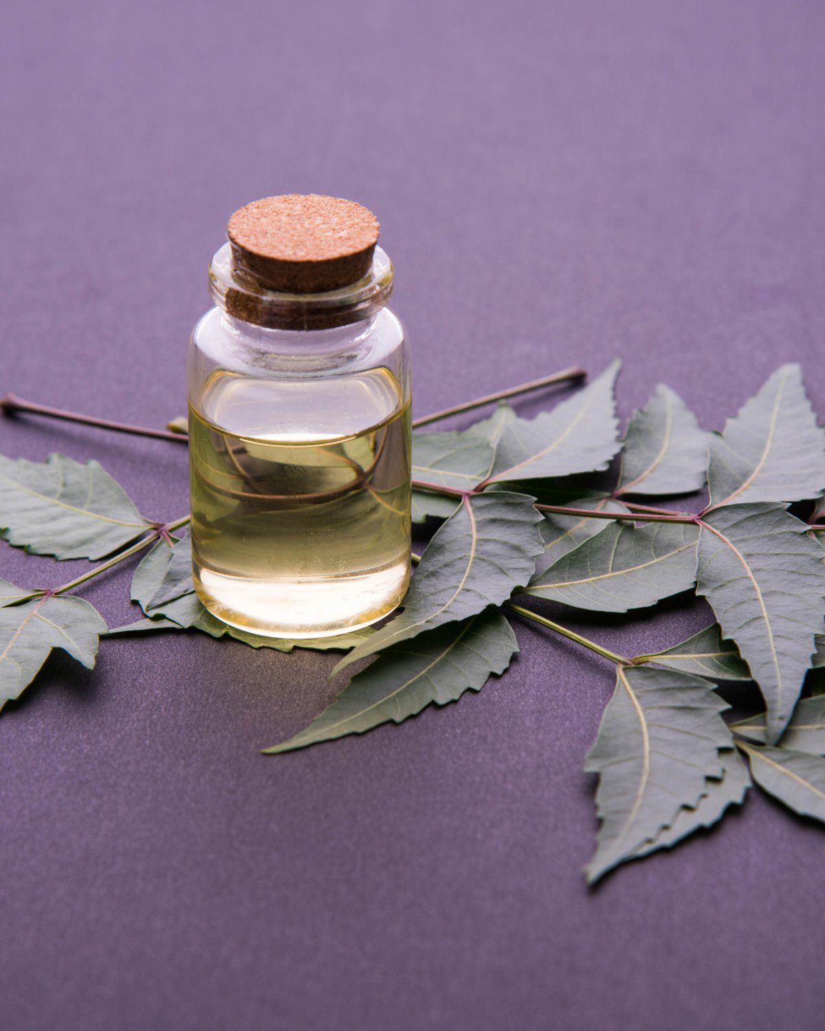 BD Edible Oils Neem Oil Page Image 3